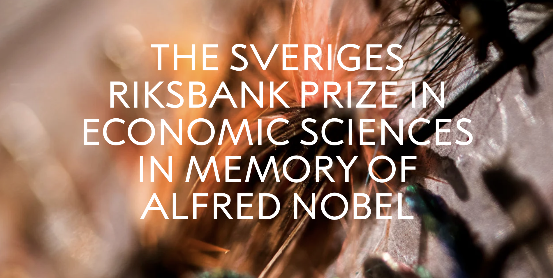 From MIT to Chicago: The Universities Powering Nobel Economics